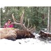 Image 1 : 2019 Utah Statewide Bull Elk Conservation Permit