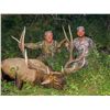 Image 2 : 2019 Utah Statewide Bull Elk Conservation Permit