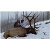Image 3 : 2019 Utah Statewide Bull Elk Conservation Permit