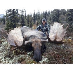2019 Exceptional Trophy Alaska Yukon Moose and Caribou Hunt Arctic Red River Outfitters.