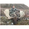 Image 2 : 2019 Exceptional Trophy Alaska Yukon Moose and Caribou Hunt Arctic Red River Outfitters.