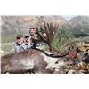 Image 3 : 2019 Exceptional Trophy Alaska Yukon Moose and Caribou Hunt Arctic Red River Outfitters.