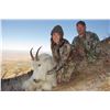 Image 2 : 2019 Utah Statewide Mountain Goat Conservation Permit