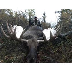 10 - DAY MOOSE HUNT FOR (1) HUNTER - FULL CURL STONE BC