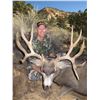Image 1 : 2019 Utah Paunsaugunt Buck Deer Landowner Permit
