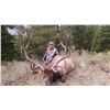 Image 1 : 2019 Nevada Jarbidge Wilderness Guided Landowner Elk Hunt