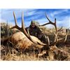 Image 2 : 2019 Nevada Jarbidge Wilderness Guided Landowner Elk Hunt