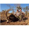 Image 1 : 7-Day Sable & Impala Hunt for Two (2) Hunters