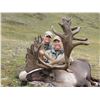 Image 2 : 10-Day Trophy Mountain Caribou at Arctic Red River Outfitters for (2) Hunters