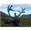 Image 4 : 10-Day Trophy Mountain Caribou at Arctic Red River Outfitters for (2) Hunters