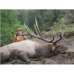 2019 Utah Fillmore, Pahvant Bull Elk Landowner Permit, Hunter’s Choice