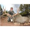 Image 2 : 2019 Utah Buck Deer San Juan, Elk Ridge Conservation Permit Hunter's Choice