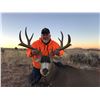 Image 3 : 2019 Utah Buck Deer San Juan, Elk Ridge Conservation Permit Hunter's Choice