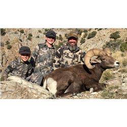 2019 Utah Box Elder, Newfoundland Mtn Rocky Mtn. Bighorn Sheep Conservation Permit (Early)