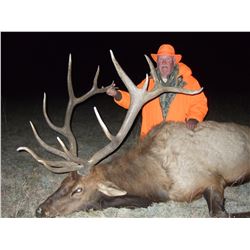 5-Day Fully Outfitted Colorado Archery Bull Elk Hunt for Two (2) Hunters