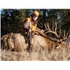 Image 2 : 5-Day Fully Outfitted Colorado Archery Bull Elk Hunt for Two (2) Hunters