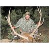 Image 3 : 5-Day Fully Outfitted Colorado Archery Bull Elk Hunt for Two (2) Hunters