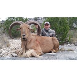 Texas Aoudad Hunt with Offgrid Outdoors for One (1) Hunter