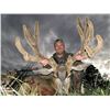 Image 1 : Archery, Muzzleloader or Rifle Mule Deer Hunt on Private Ranch in Southern Colorado