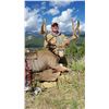 Image 4 : Archery, Muzzleloader or Rifle Mule Deer Hunt on Private Ranch in Southern Colorado
