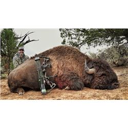 2019 Utah Statewide Bison Conservation Permit