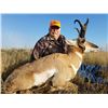 Image 3 : 3-Day Wyoming Pronghorn Antelope Hunt for Two Hunters With Offgrid Outdoors