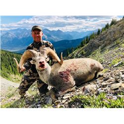 14 - DAY STONE SHEEP HORSEBACK HUNT AT FULL CURL STONE NORTHERN BRITISH COLUMBIA FOR (1) HUNTER