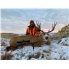 Image 1 : “The John Snow Experience” – Gun/Scope/SE Montana Mule Deer Hunt Combo