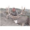 Image 1 : 2019 Utah Henry Mtns Buck Deer (Muzzleloader) Conservation Permit