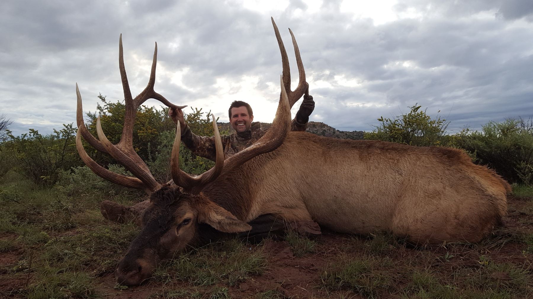7Day Bull Elk Hunt for One (1) Hunter on the Zuni Reservation in New