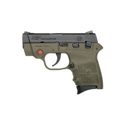 S& W BDYGRD 380 6RD 2.75" CMT LSR FDE