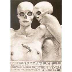 218 STUNNING Polish Art Poster Starowieyski UNBELIEVABLE! 