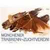 Image 1 : 309 ORIGINAL VINTAGE HORSE RACING Poster Munich 1930s