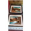 Image 1 : Shelf One