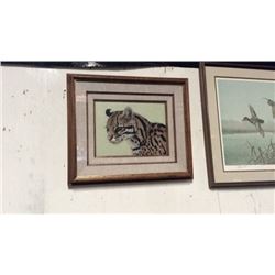Cat picture in wormy walnut frame