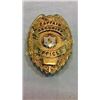 Image 1 : Captain Security Officer Badge
