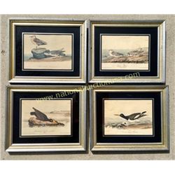 4 Audubon Prints In Original Frames