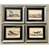 Image 1 : 4 Audubon Prints In Original Frames