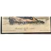 Image 2 : 4 Audubon Prints In Original Frames