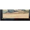 Image 4 : 4 Audubon Prints In Original Frames