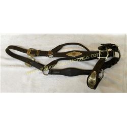 Silver Mounted Halter