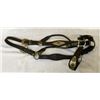 Image 1 : Silver Mounted Halter