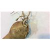 Image 4 : Buffalo Scrotum Dance Rattle 19th Century