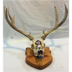 Mule Deer Mount Hand Painted