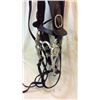 Image 3 : Antique Old Time Bridle With Renalde Heart Bit