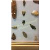 Image 3 : Collection Of 29 Paleo In Gold Leaf Frame