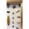 Image 6 : Collection Of 29 Paleo In Gold Leaf Frame