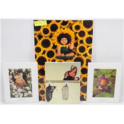 LOT OF 4 ANNE GEDDES PLAQUES