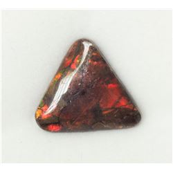 #5-GENUINE CANADIAN AMMOLITE (11-15MM)