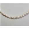 Image 2 : #25-STERLING SILVER FRESHWATER PEARL NECKLACE